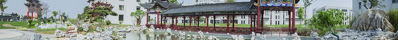 澳门新威斯尼平台